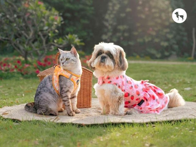 HUFT’s New Summer ‘26 Collection Turns Everyday Moments into Little Tales of Joy